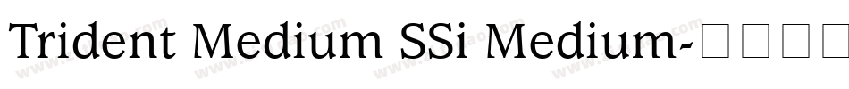 Trident Medium SSi Medium字体转换